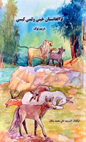 د افغانستان ځینی ولسي کیسي(دریم توګ)