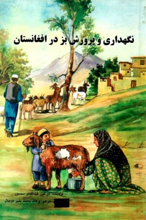 نگهداری و پرورش بز در افغانستان