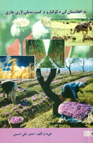 په افغانستان کې د کوکنارو د کښت بديلې لارې چارې