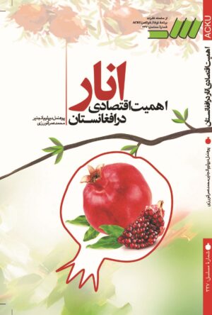 اهمیت اقتصادی انار در افغانستان