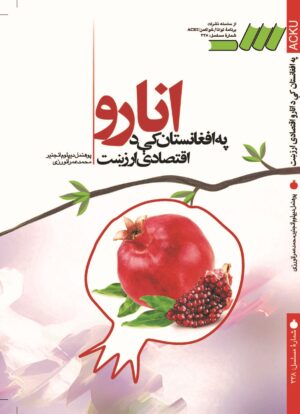 په افغانستان کې د انارواقتصادي ارزښت